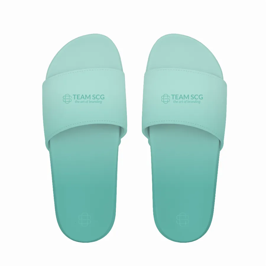 Slides